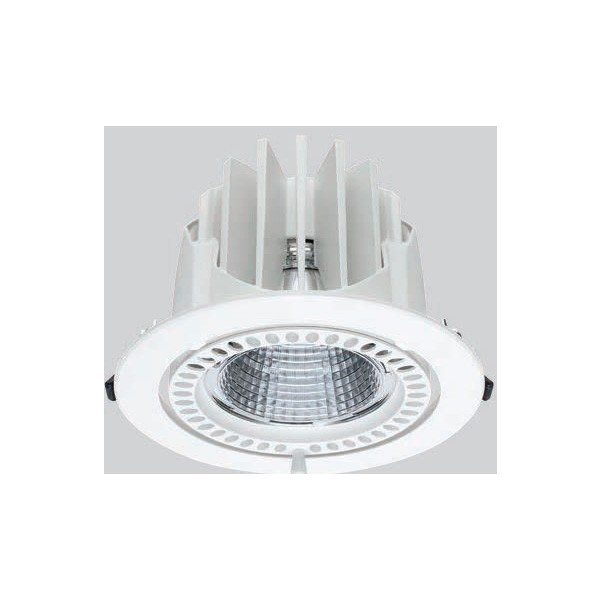 Downlight Dave Pro 2